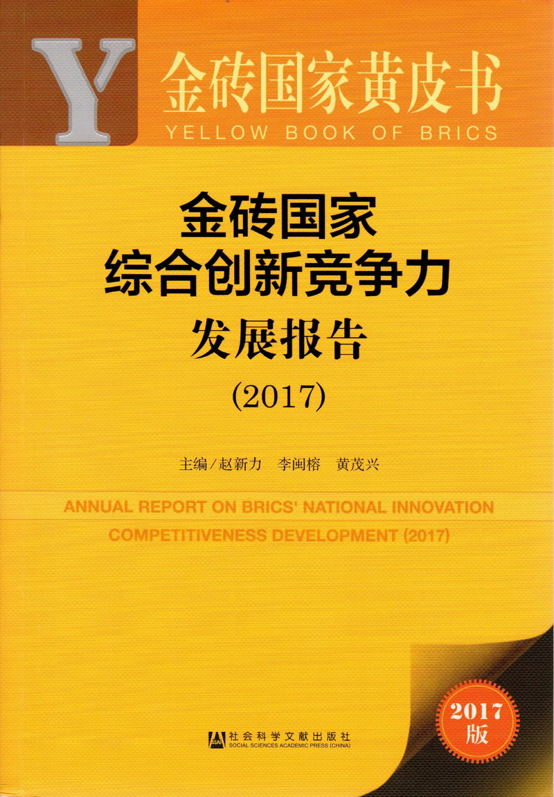 黑丝美女被操在线观看金砖国家综合创新竞争力发展报告（2017）